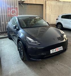 تێسلا مۆدێلی Y